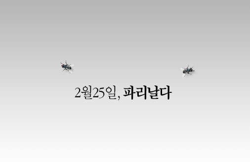 paran2.png